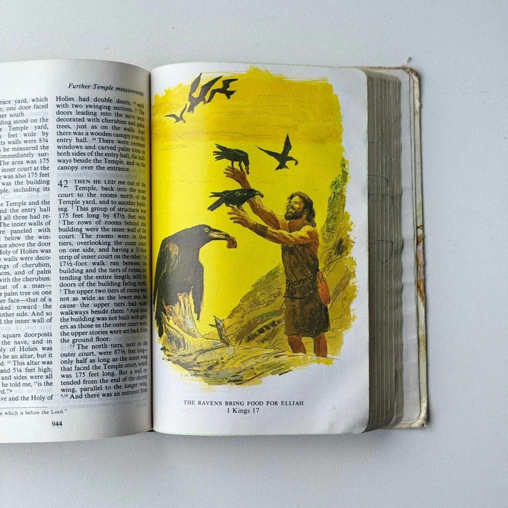 The Children's Living Bible Green Vintage 1972 Tyndale Paraphrased Illustrated